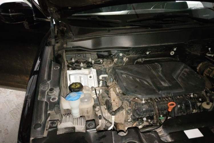 Used Haval DARGO 2021 2.0T DCT 4x4 Chinese Rural Dog Edition Engine Bay Right