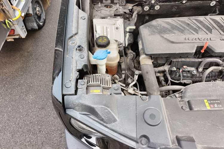 Used Haval DARGO 2021 1.5T DCT Two-Wheel Drive Border Collie - Wangcai Edition Engine Bay Right