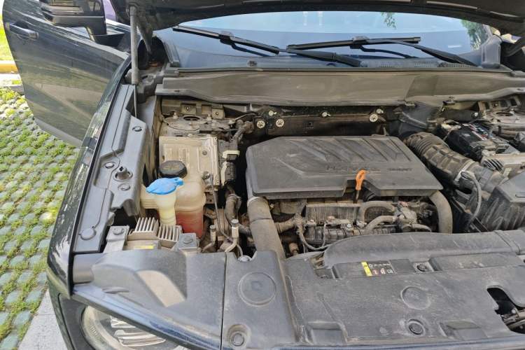 Used Haval DARGO 2021 1.5T DCT Two-Wheel Drive Border Collie Edition Engine Bay Right