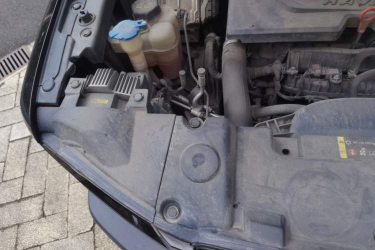 Used Haval DARGO 2021 1.5T DCT Two-Wheel Drive Labrador Edition Engine Bay Right