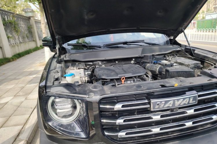 Used Haval DARGO 2021 Revised Version 2.0T DCT Four-Wheel Drive "Hao Tian Que" Edition Engine Bay Right