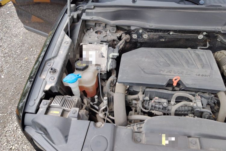 Used Haval DARGO 2021 1.5T DCT Two-Wheel Drive Border Collie - Wangcai Edition Engine Bay Right