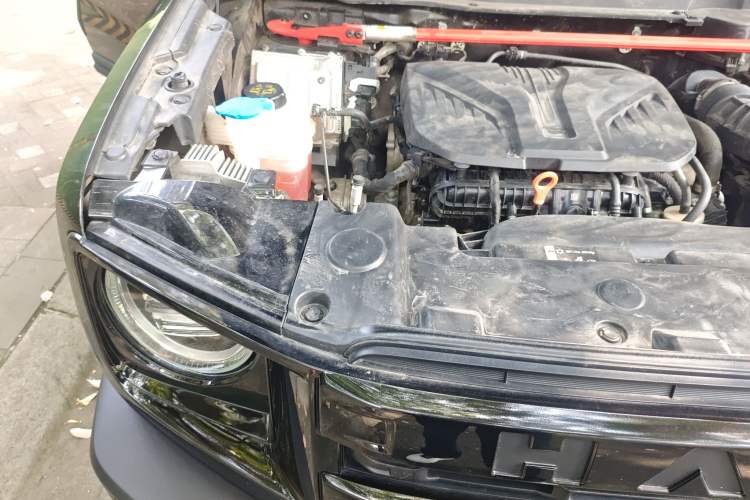 Used Haval DARGO 2021 Revised Version 2.0T DCT Four-Wheel Drive "Hao Tian Que" Edition Engine Bay Right
