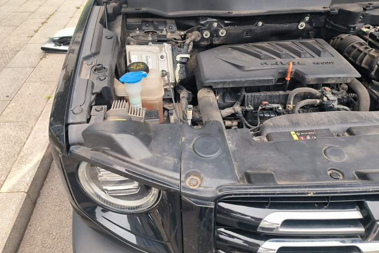 Used Haval DARGO 2021 1.5T DCT Two-Wheel Drive Border Collie Edition Engine Bay Right