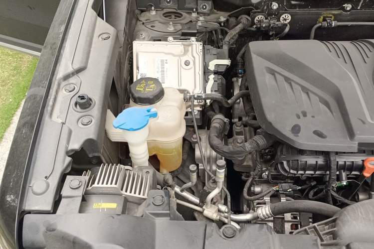 Used Haval DARGO 2021 2.0T DCT All-Wheel-Drive "Hao Tian Quan" Edition Engine Bay Right