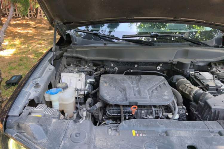 Used Haval DARGO 2021 2.0T DCT 4x4 Chinese Rural Dog Edition Engine Bay Right