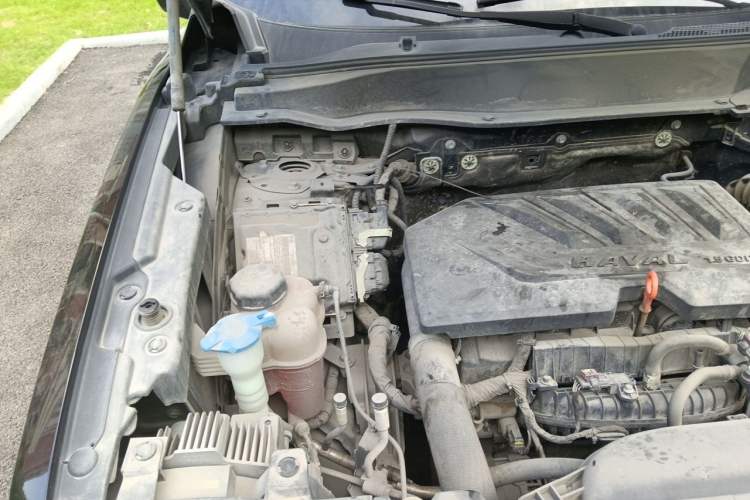 Used Haval DARGO 2021 1.5T DCT Two-Wheel Drive Border Collie Edition Engine Bay Right