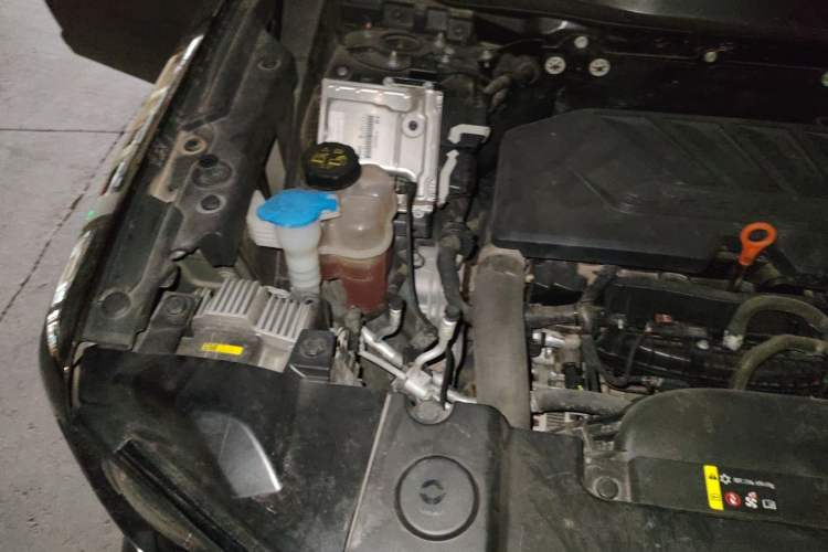 Used Haval DARGO 2021 1.5T DCT Two-Wheel Drive Labrador Edition Engine Bay Right
