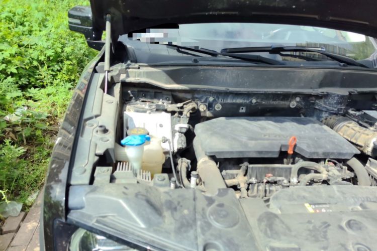 Used Haval DARGO 2021 1.5T DCT Two-Wheel Drive Labrador Edition Engine Bay Right