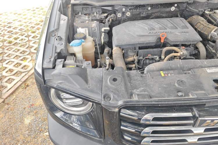 Used Haval DARGO 2021 1.5T DCT Two-Wheel Drive Border Collie Edition Engine Bay Right