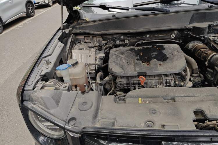Used Haval DARGO 2021 2.0T DCT Two-Wheel Drive Chinese Mastiff Edition Engine Bay Right