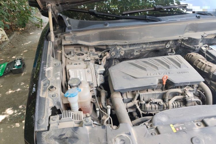 Used Haval DARGO 2021 1.5T DCT Two-Wheel Drive Border Collie Edition Engine Bay Right