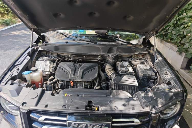 Used Haval DARGO 2021 2.0T DCT 4x4 Chinese Rural Dog Edition Engine Bay