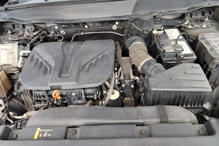 Used Haval DARGO 2021 2.0T DCT 4x4 Chinese Rural Dog Edition Engine Bay