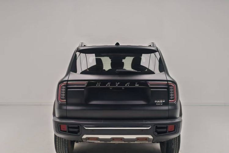 Used Haval DARGO 2021 2.0T DCT 4x4 Chinese Rural Dog Edition Exterior 6