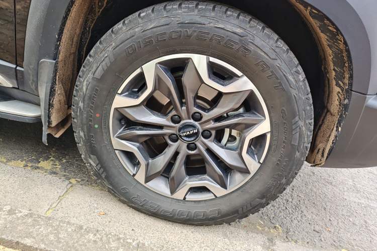 Used Haval DARGO 2021 2.0T DCT 4x4 Chinese Rural Dog Edition Exterior 7
