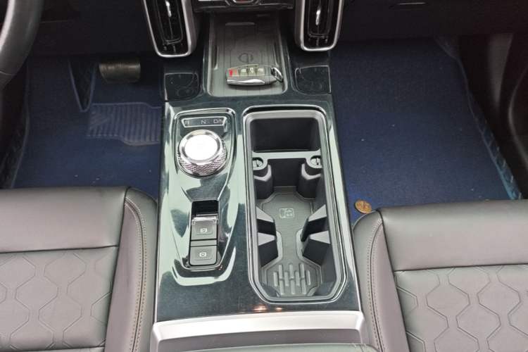 Used Haval DARGO 2021 2.0T DCT Two-Wheel Drive Chinese Mastiff Edition Gear Lever