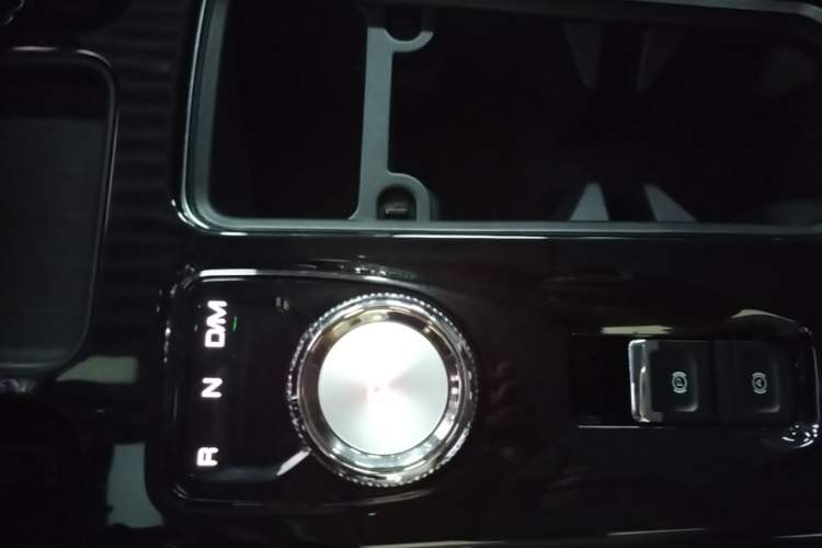 Used Haval DARGO 2021 2.0T DCT 4x4 Chinese Rural Dog Edition Gear Lever