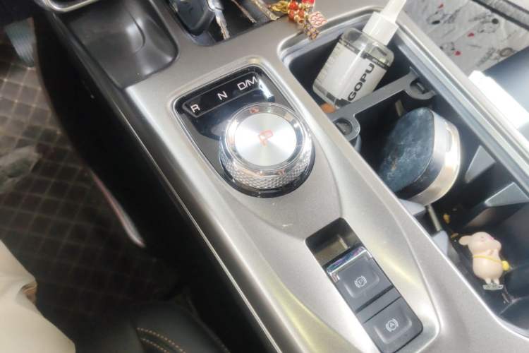 Used Haval DARGO 2021 1.5T DCT Two-Wheel Drive Labrador Edition Gear Lever