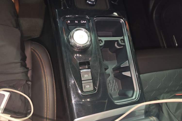 Used Haval DARGO 2021 2.0T DCT 4x4 Chinese Rural Dog Edition Gear Lever