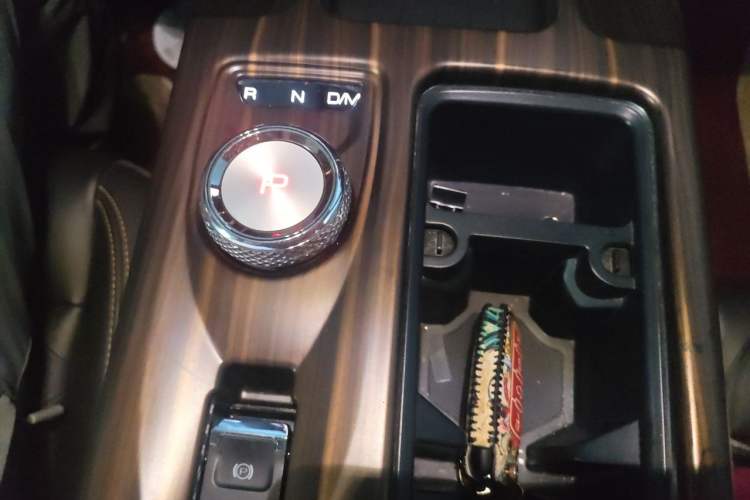 Used Haval DARGO 2021 2.0T DCT 4x4 Chinese Rural Dog Edition Gear Lever
