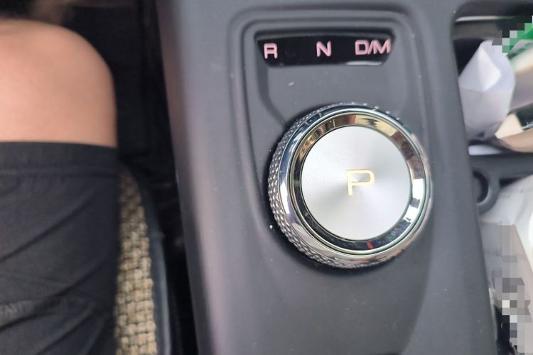 Used Haval DARGO 2021 1.5T DCT Two-Wheel Drive Border Collie Edition Gear Lever