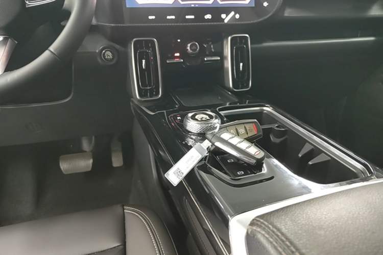 Used Haval DARGO 2021 1.5T DCT Two-Wheel Drive Border Collie Edition Gear Lever