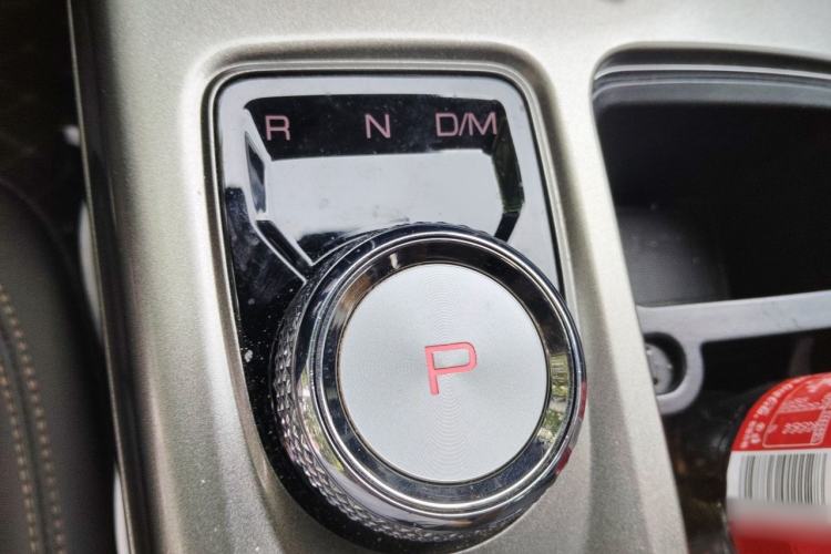 Used Haval DARGO 2021 1.5T DCT Two-Wheel Drive Labrador Edition Gear Lever
