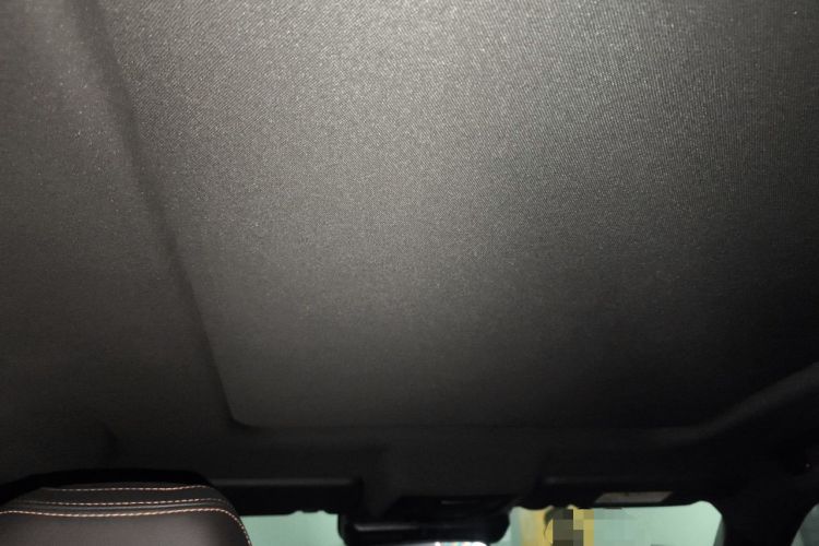 Used Haval DARGO 2021 Revised Version 2.0T DCT Four-Wheel Drive "Hao Tian Que" Edition Headliner