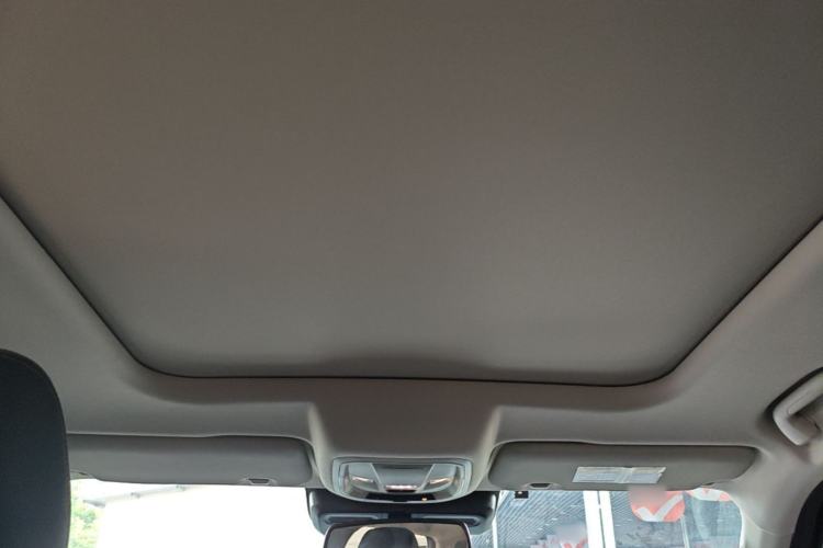 Used Haval DARGO 2021 Revised Version 2.0T DCT Four-Wheel Drive "Hao Tian Que" Edition Headliner
