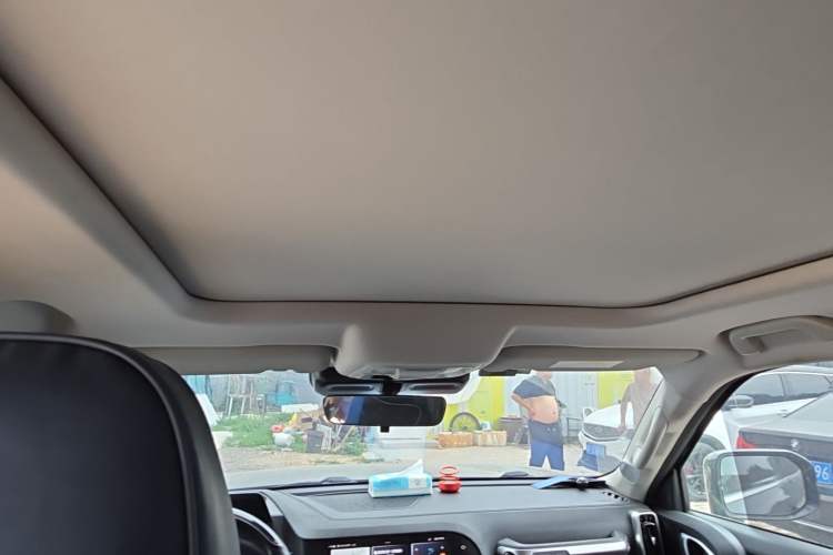 Used Haval DARGO 2021 1.5T DCT Two-Wheel Drive Border Collie Edition Headliner