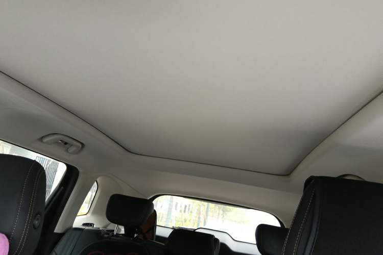 Used Haval DARGO 2021 2.0T DCT 4x4 Chinese Rural Dog Edition Headliner