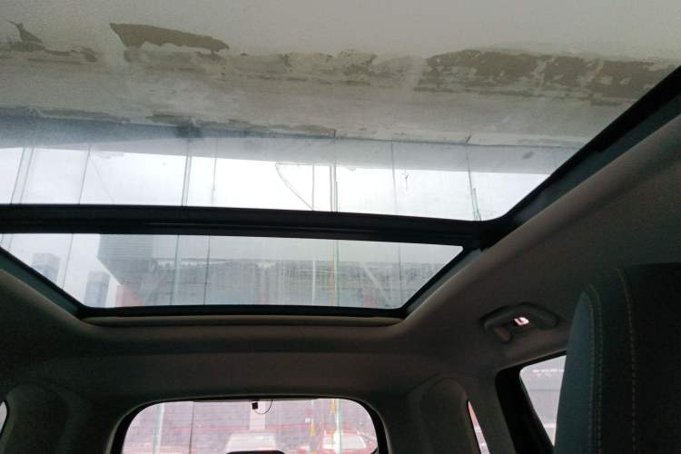 Used Haval DARGO 2021 2.0T DCT 4x4 Chinese Rural Dog Edition Headliner