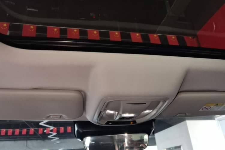 Used Haval DARGO 2021 1.5T DCT Two-Wheel Drive Border Collie Edition Headliner