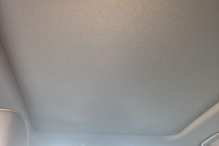 Used Haval DARGO 2021 1.5T DCT Two-Wheel Drive Labrador Edition Headliner