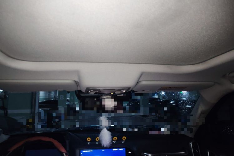 Used Haval DARGO 2021 Revised Version 1.5T DCT Two-Wheel Drive "Mǎquǎn" Edition Headliner