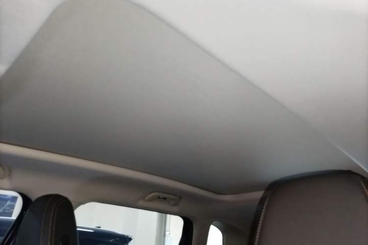 Used Haval DARGO 2021 2.0T DCT 4x4 Chinese Rural Dog Edition Headliner