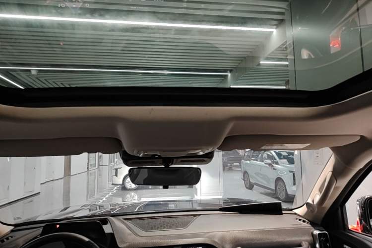 Used Haval DARGO 2021 1.5T DCT Two-Wheel Drive Border Collie - Wangcai Edition Headliner
