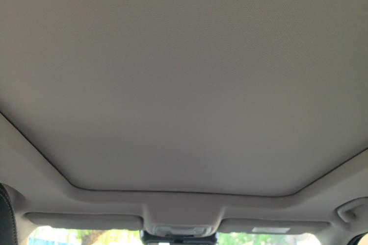 Used Haval DARGO 2021 1.5T DCT Two-Wheel Drive Border Collie Edition Headliner