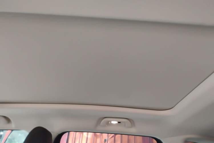 Used Haval DARGO 2021 2.0T DCT 4x4 Chinese Rural Dog Edition Headliner