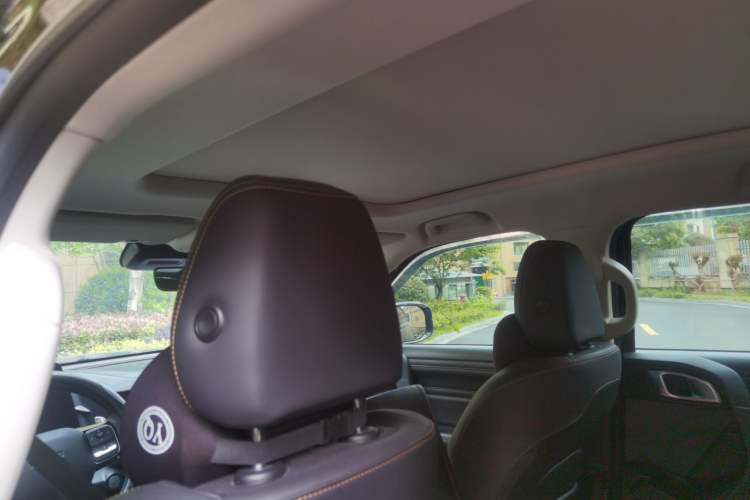 Used Haval DARGO 2021 1.5T DCT Two-Wheel Drive Labrador Edition Headliner