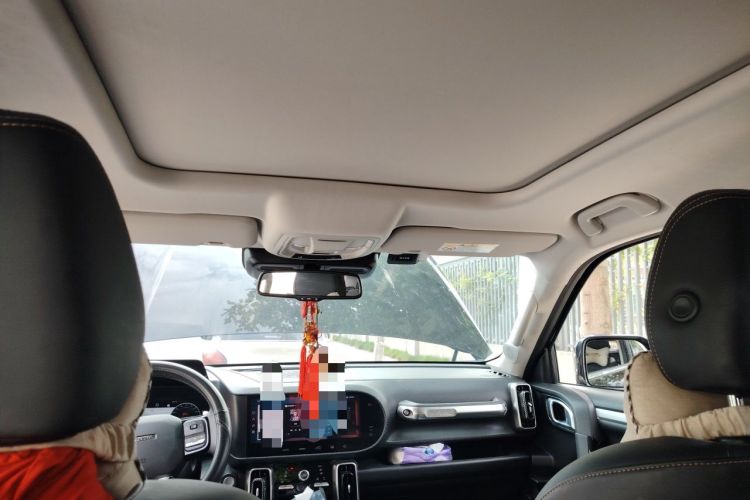 Used Haval DARGO 2021 Revised Version 2.0T DCT Four-Wheel Drive "Hao Tian Que" Edition Headliner
