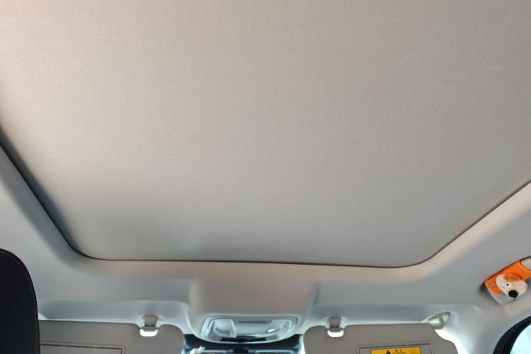 Used Haval DARGO 2021 1.5T DCT Two-Wheel Drive Border Collie Edition Headliner