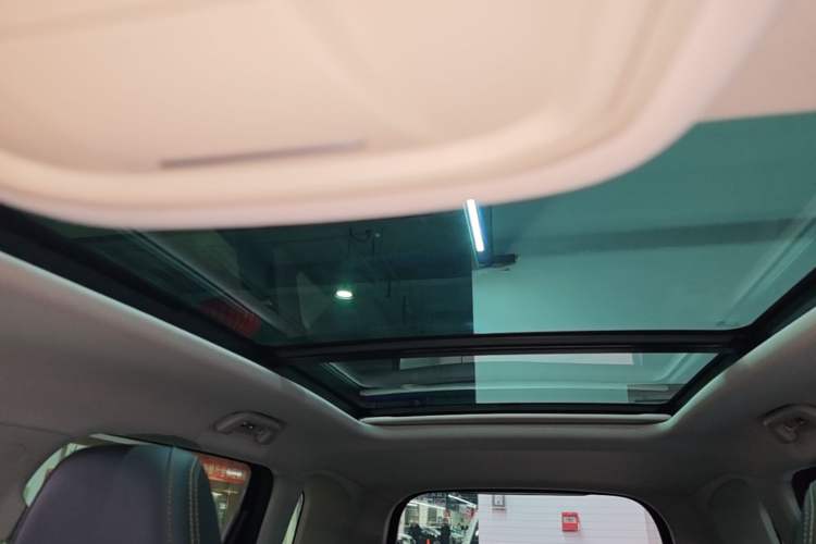 Used Haval DARGO 2021 1.5T DCT Two-Wheel Drive Labrador Edition Headliner