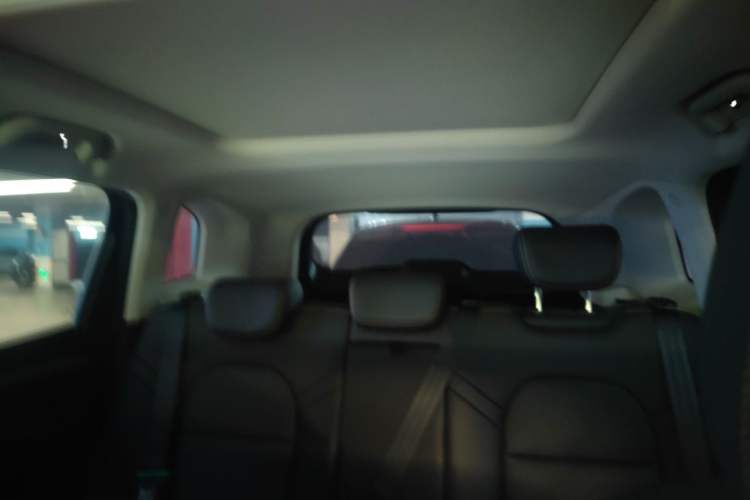 Used Haval DARGO 2021 1.5T DCT Two-Wheel Drive Border Collie - Wangcai Edition Headliner