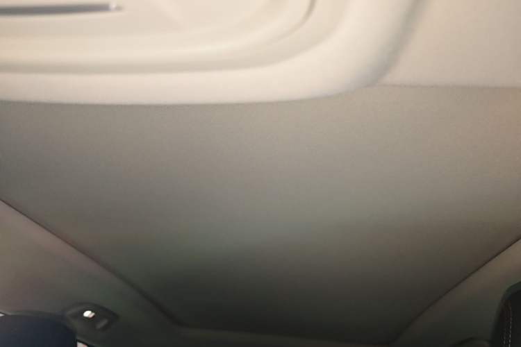 Used Haval DARGO 2021 2.0T DCT 4x4 Chinese Rural Dog Edition Headliner