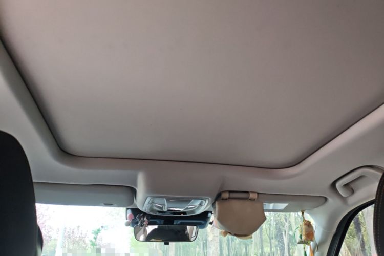 Used Haval DARGO 2021 2.0T DCT 4x4 Chinese Rural Dog Edition Headliner