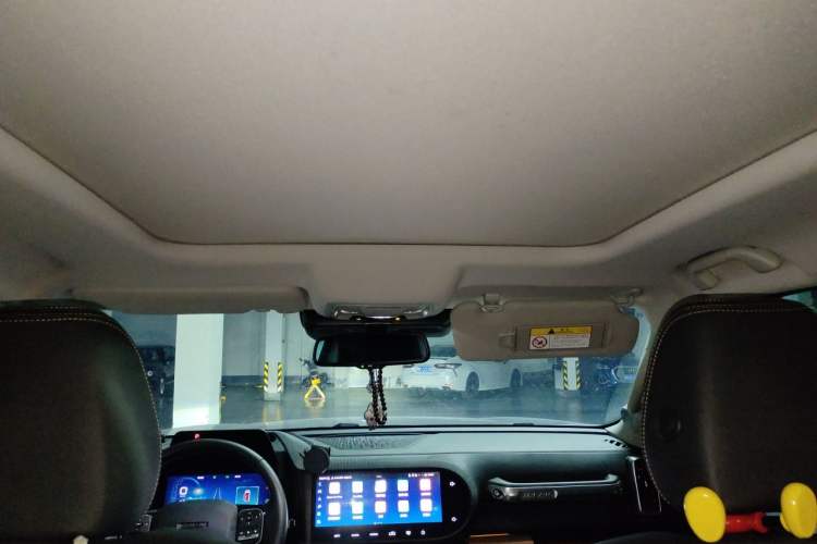 Used Haval DARGO 2021 2.0T DCT All-Wheel-Drive "Hao Tian Quan" Edition Headliner