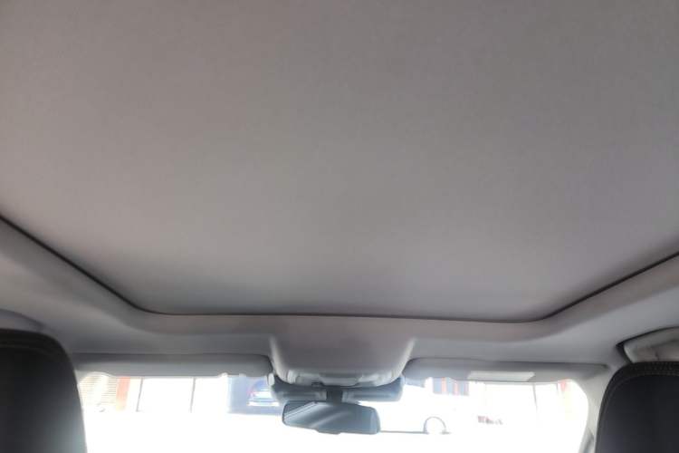 Used Haval DARGO 2021 2.0T DCT All-Wheel-Drive "Hao Tian Quan" Edition Headliner