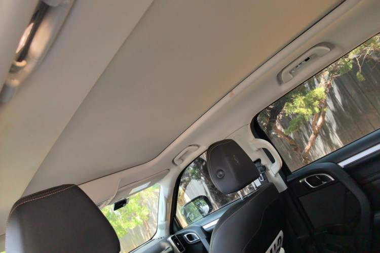 Used Haval DARGO 2021 2.0T DCT 4x4 Chinese Rural Dog Edition Headliner